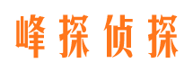 尼勒克侦探公司